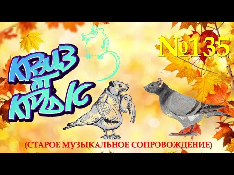 Видео: КВИЗ от КРЫС эпизод 135 (старое музыкальное сопровождение)