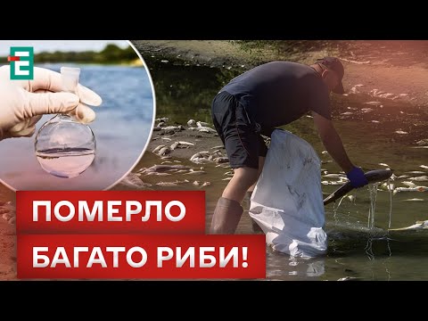 Видео: 😱ЭКОЛОГИЧЕСКАЯ КАТАСТРОФА В ДЕСНЕ! СИТУАЦИЯ СТАБИЛИЗИРУЕТСЯ?