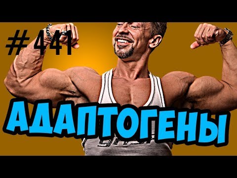 Видео: Адаптогены -  родиола розовая,элеутерококк,женьшень,левзея