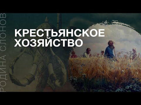Видео: Крепостное право и рабство. Елена Корчмина. Родина слонов №235