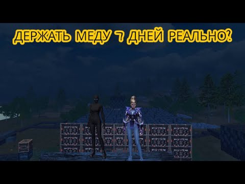 Видео: ДУО ВЫЖИВАНИЕ НА 200$ ПРОДЕРЖАЛИ МЕДАЛЬ 7 ДНЕЙ?