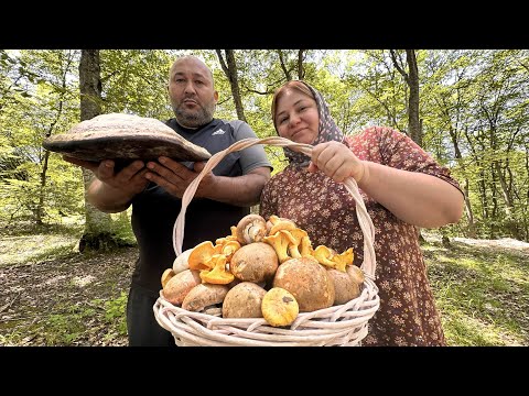 Видео: Сковорода Невероятного Блюдо В ЛЕСУ! Хобби Миллионов Людей.