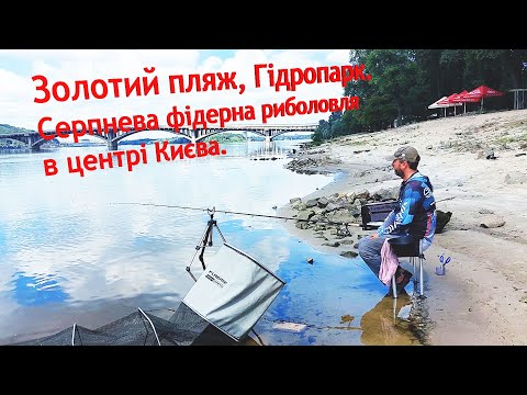 Видео: Золотий пляж, Гідропарк. Серпнева фідерна риболовля в центрі Києва. Перевірка зв'язку))