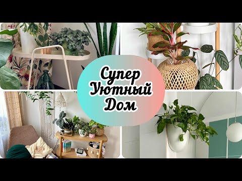Видео: Цветочный Интерьер: 4 Крутых ИДЕЙ Озеленения!!! Новинки с китайского Пиндоудоу