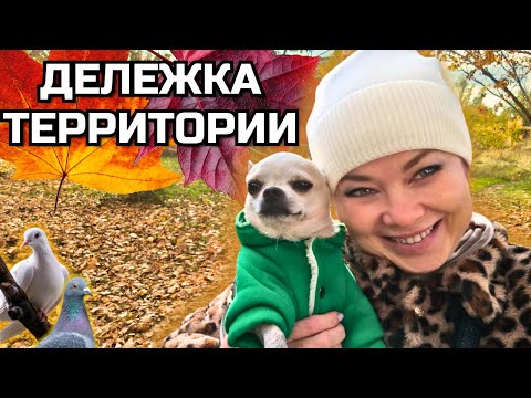 Видео: Глазеем! Шопинг без затрат! День ног! 