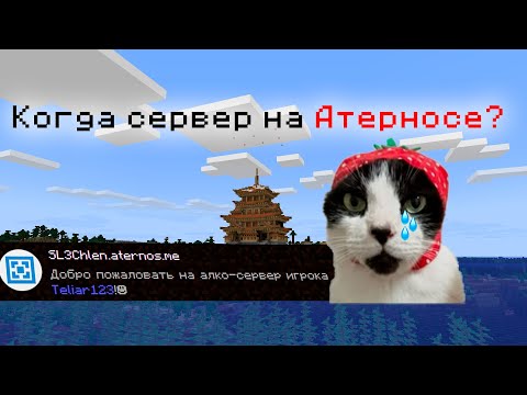 Видео: Взял Интервью у Админа Самого Лучшего Алко-сервера в Майнкрафте