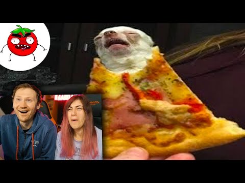 Видео: ЗАСМЕЯЛСЯ - ПРОИГРАЛ | ЛЮТЫЕ ПРИКОЛЫ | ЛУЧШИЕ ПРИКОЛЫ |СЕКУНДЫ СМЕХА | Реакция