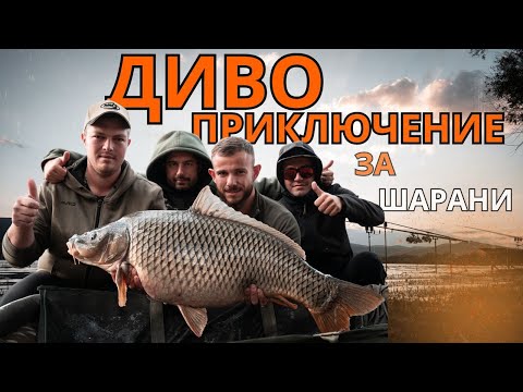 Видео: В търсене на дивите шарани на яз. Ивайловград | Мисията "Трофей"