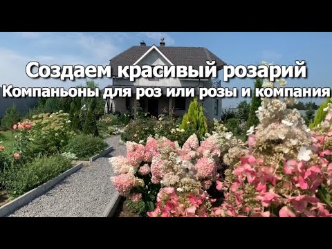 Видео: Создать красивый розарий просто | Компаньоны для роз или розы и компания