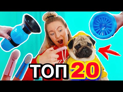 Видео: ТОП СТРАННЫХ ГАДЖЕТОВ ДЛЯ СОБАК ! Такого ТЫ еще не видел !