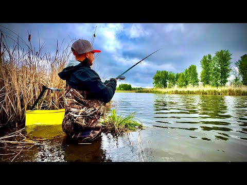 Видео: НОРМА ВИЛОВУ це не про нас!!! Рибалка РОЗДАЄ!!!