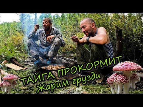 Видео: Жареные грузди по таежному.