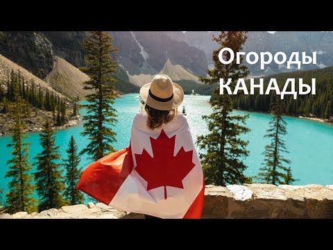 Видео: ОГОРОДЫ КАНАДЫ