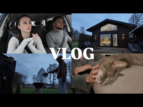 Видео: ПОЕХАЛИ В ДОМИК У ОЗЕРА | КОТ СТАЩИЛ НАШУ КОЛБАСУ | VLOG