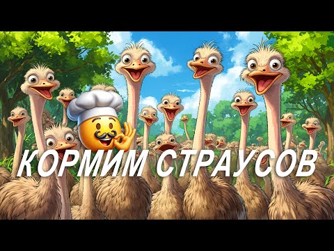Видео: Страусиная ферма рядом с г. Казань
