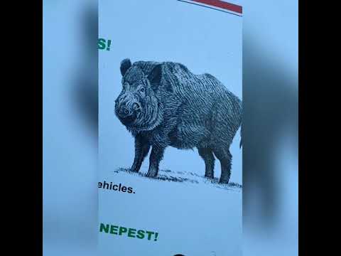 Видео: Разходка за няколко часа. Карлуково, пещерата Проходна и Скален манастир Св. Марина