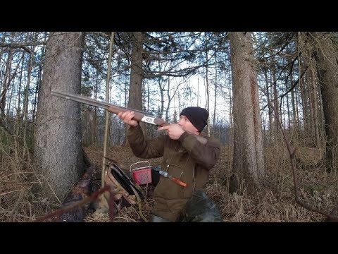 Видео: Охота с подсадной уткой. Не всегда удача улыбается