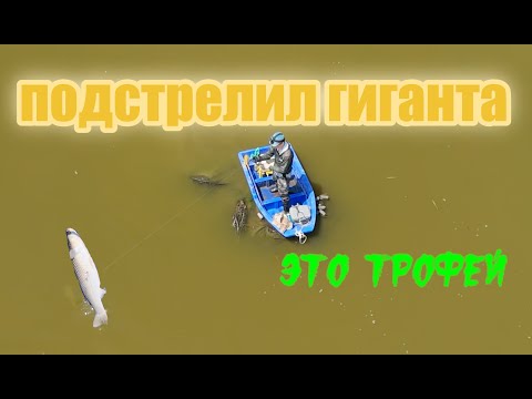 Видео: Такого у меня еще не было (рыбалка с рогаткой)