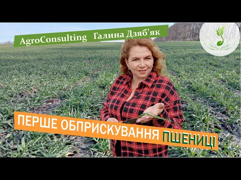 Видео: Що має бути в баковій суміші для першого обприскування пшениці у фазі кущення?