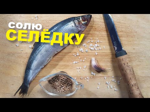 Видео: СЕЛЁДКА. МАЛОСОЛЬНАЯ. Пряный посол сельди в домашних условиях.