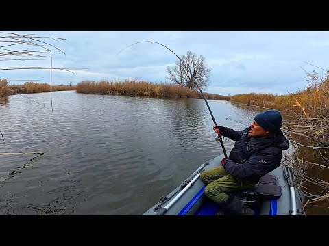 Видео: ВЕЛИКІ РИБИ ТЯГНУТЬ МЕНЕ У ВОДУ. Рибалка на боковий кивок