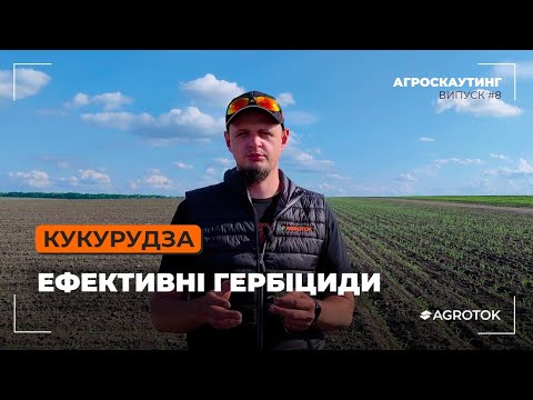 Видео: Кукурудза: ефективні гербіциди