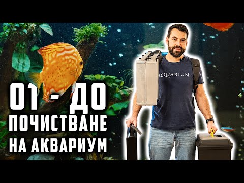 Видео: НАШАТА УСЛУГА - ПОДДРЪЖКА НА АКВАРИУМ