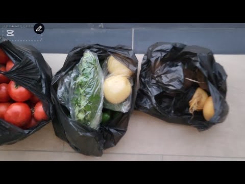 Видео: ШОШИЛИНЧ РОЛИК 🤔🤔🤣🤣🤣🤣
