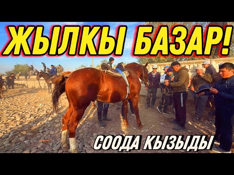 Видео: 280 МИНГЕ САТЫЛГАН АТ КАЙРА 330 МИҢГЕ САТЫЛДЫ 🤯 #байтв 