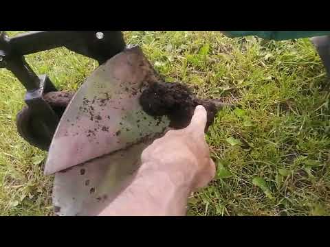Видео: Первое окучивание картошки минимотоблоком польским окучником