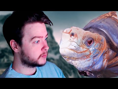 Видео: НОВЫЙ УНИКАЛЬНЫЙ КВЕСТ | БОСС ЧЕРЕПАХА в Skyrim Requiem for a Balance