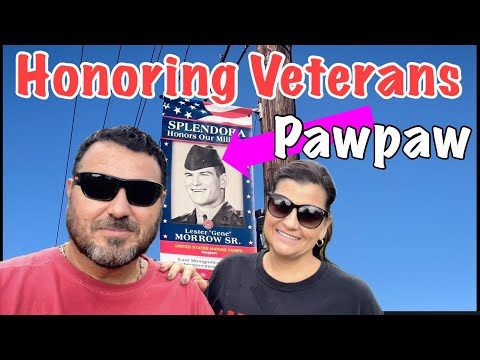 Видео: Вывешивание баннера PawPaw