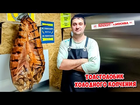 Видео: ТОЛСТОЛОБИК ХОЛОДНОГО КОПЧЕНИЯ В КОПТИЛКЕ ОТ КОМПАНИИ МОСКИТ.