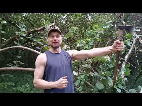 Видео: Топор из Португалии  и нежность Александра Мартынова