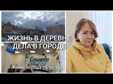 Видео: ЖИЗНЬ В ДЕРЕВНЕ _ ДЕЛА В ГОРОДЕ _ ЖИЗНЬ ХОРОША 29.10.25г