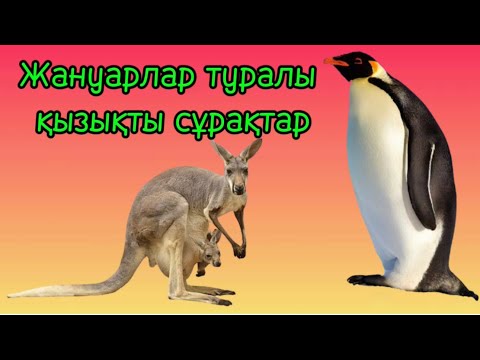 Видео: Жануарлар әлемі туралы түрлі сұрақтар / Өзіңді тексер / Қызықты ойын