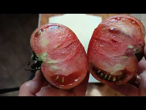 Видео: Дегустация 3  часть