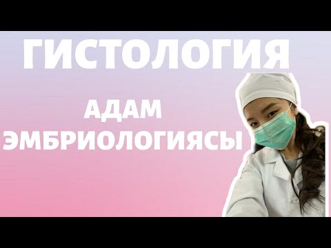 Видео: ГИСТОЛОГИЯ. АДАМ ЭМБРИОЛОГИЯСЫ.