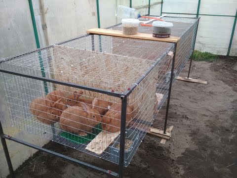 Видео: Разборные клетки для кроликов