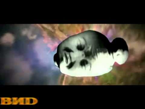 Видео: Телекомпания ВИD