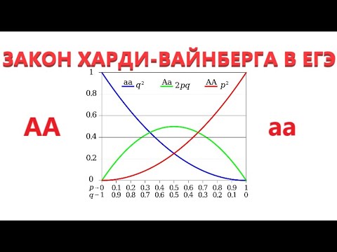 Видео: ЗАКОН ХАРДИ-ВАЙНБЕРГА В ЕГЭ