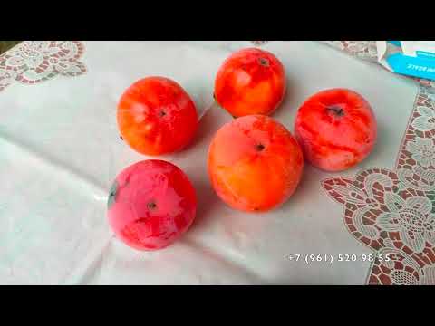 Видео: Таинство опыления хурмы - результат !