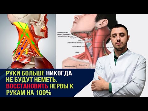 Видео: Восстановить нервы к рукам. Перестанут млеть. Уйдут отеки.