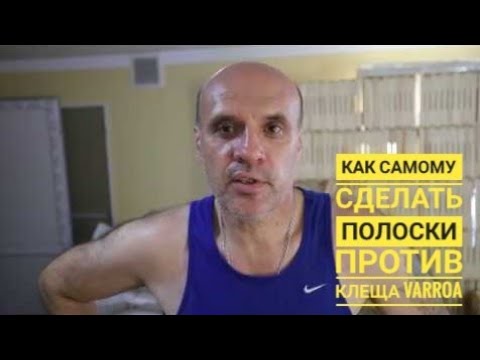 Видео: Как самому сделать полоски от клеща #варроа