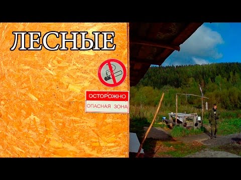 Видео: ОХОТА В ТАЙГЕ | РЫБАЛКА НА ХАРИУСА | ТАЙГА