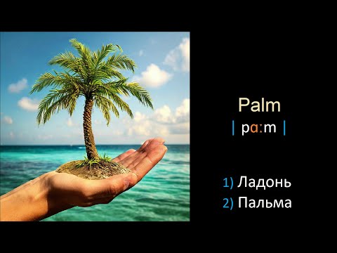 Видео: Учите Английские слова легко и просто - Урок 16.