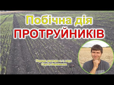 Видео: Побічна дія протруйників