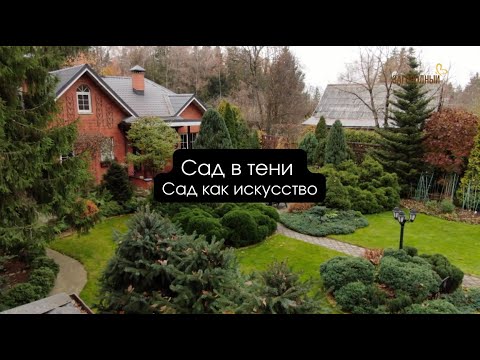 Видео: Сад в тени I Сад как искусство