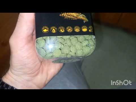 Видео: Одна неделя в одном видео.