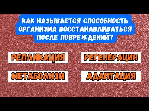 Видео: Лишь 1% отвечает верно на все 17 вопросов! Тест на Эрудицию